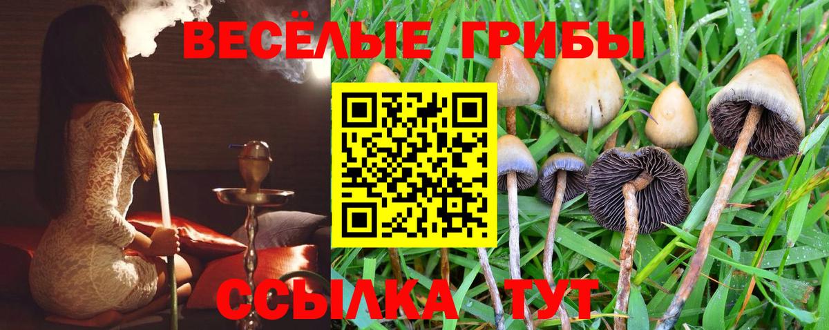 Галлюциногенные грибы ЛСД  Вход с VPN  Сочи  Псилоцибиновые грибы GOLDEN TEACHER 