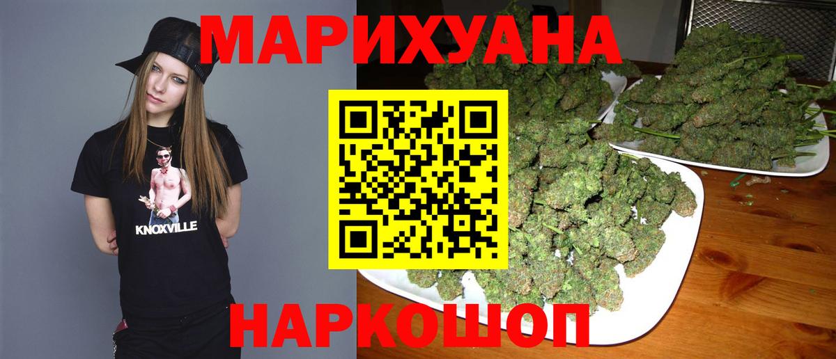 Конопля Bruce Banner  Вход с VPN  Сочи  Каннабис тримм  Конопля OG Kush 